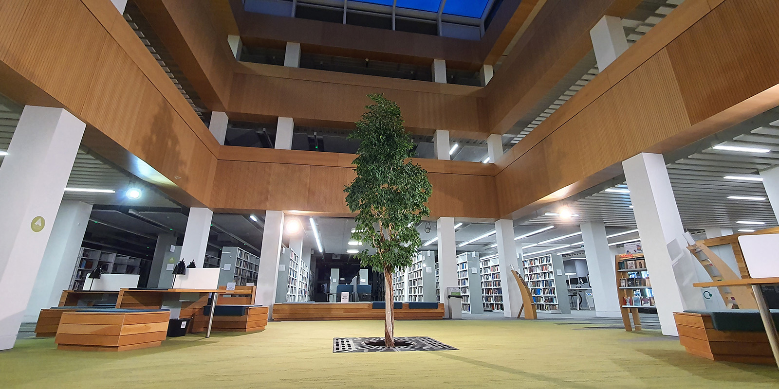 СʪƵ library foyer with the living tree in the centre.